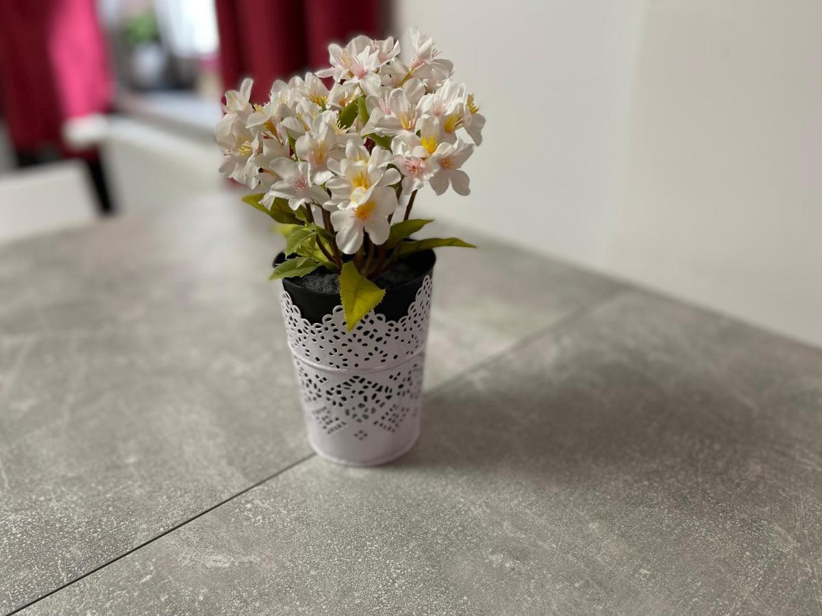 Apartmán Tiny House Burig Exteriér fotografie